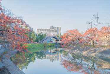 埼玉で家を建てるならどこ？　おすすめエリア 草加・越谷・八潮