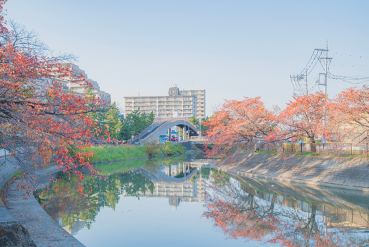 埼玉で家を建てるならどこ?【おすすめエリア草加・越谷・八潮】