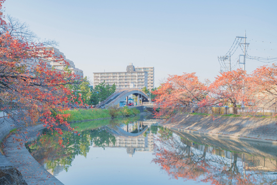 埼玉で家を建てるならどこ？　おすすめエリア 草加・越谷・八潮